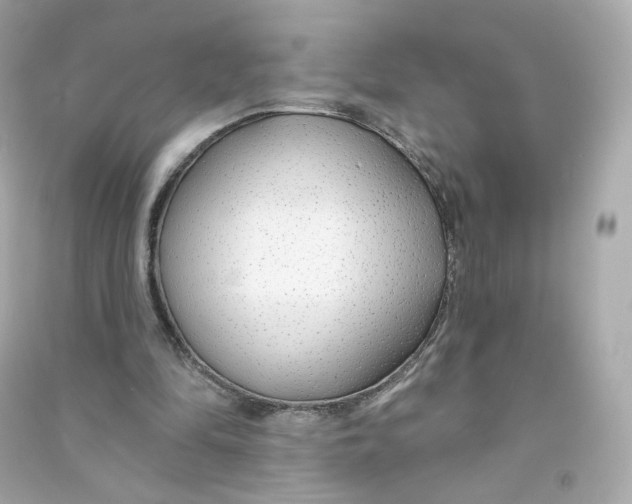 X0000090460294200708102117