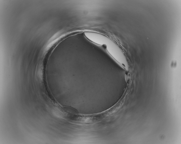 X0000090460295200708102117