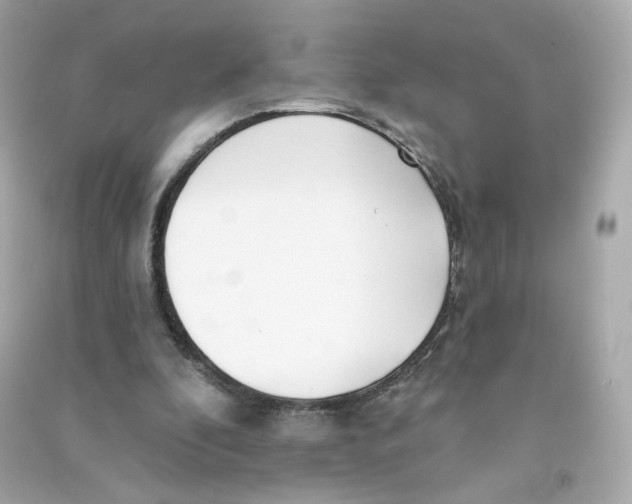 X0000090460296200708102117