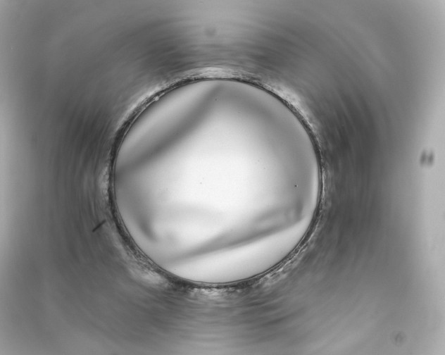 X0000090460297200708102117