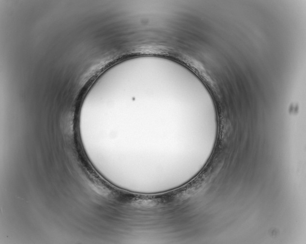 X0000090460299200708102117