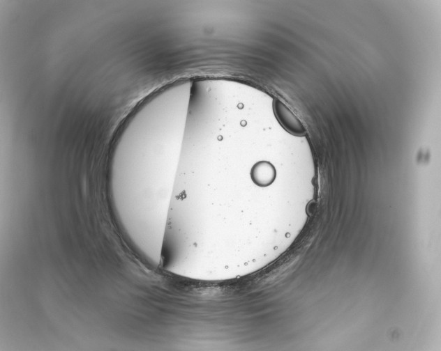 X0000090460301200708102117