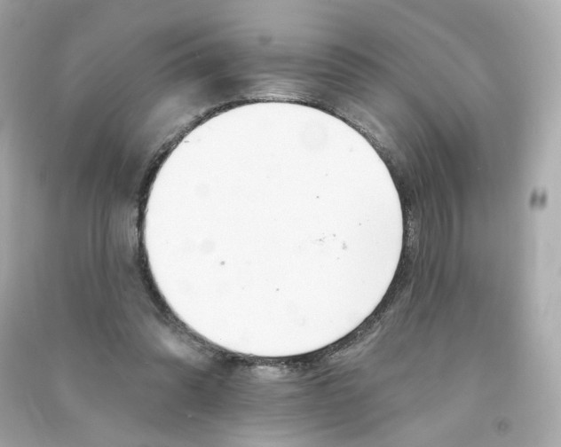X0000090460302200708102117