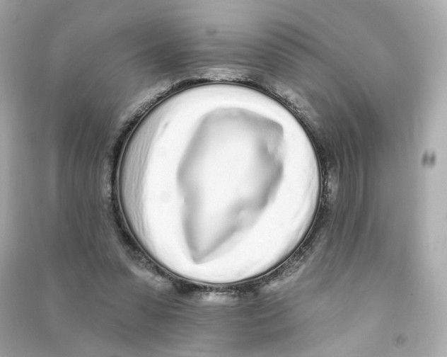 X0000090460303200708102117