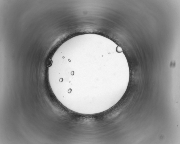 X0000090460304200708102117