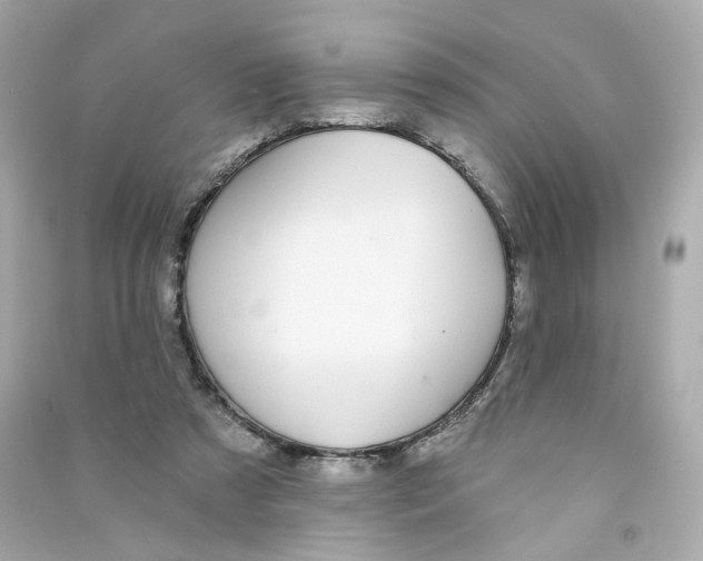 X0000090460305200708102117