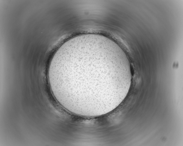 X0000090460306200708102117