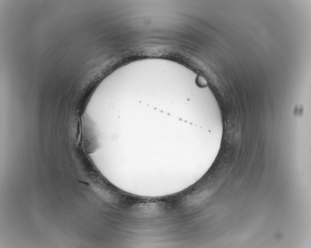 X0000090460307200708102117