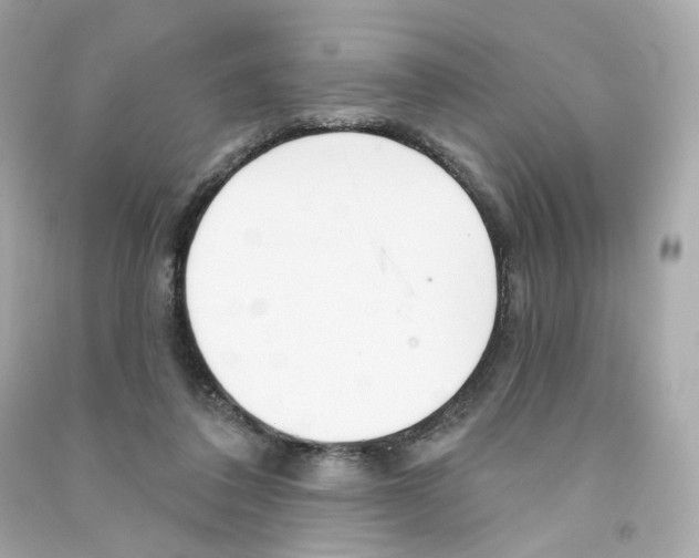 X0000090460308200708102117