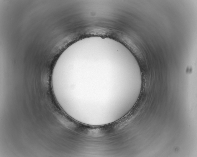 X0000090460309200708102117