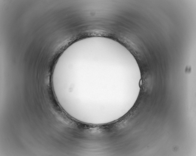 X0000090460310200708102117