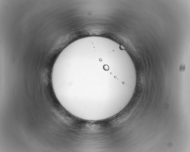 X0000090460311200708102117