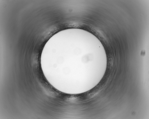 X0000090460312200708102117