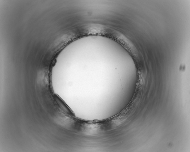 X0000090460313200708102117