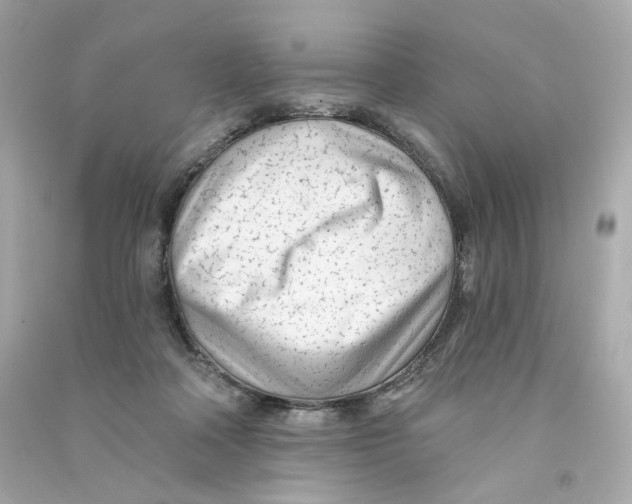 X0000090460314200708102117