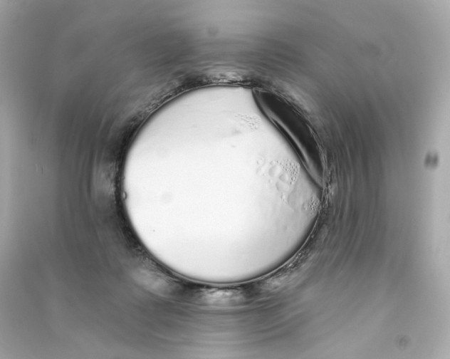 X0000090460315200708102117