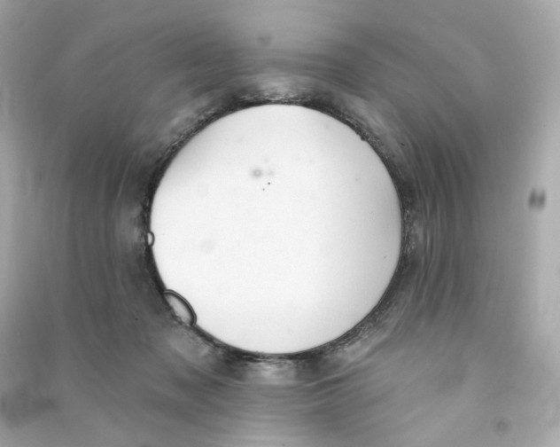 X0000090460317200708102117