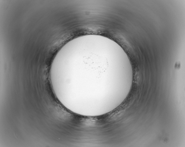 X0000090460318200708102117