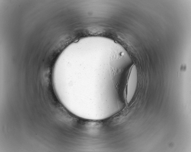 X0000090460319200708102117
