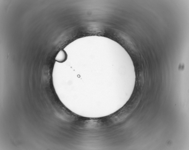 X0000090460320200708102117