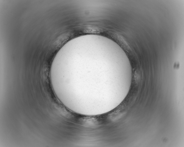 X0000090460322200708102117