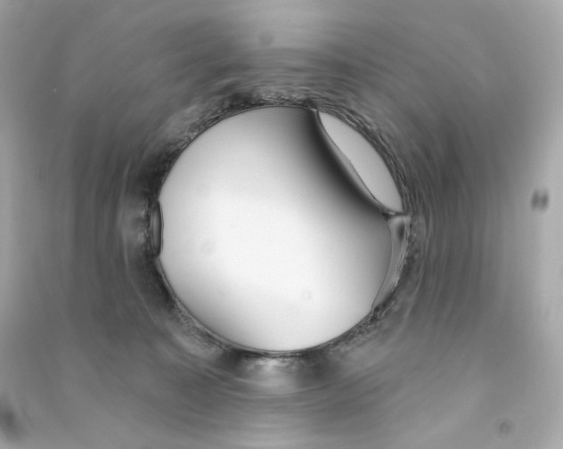 X0000090460323200708102117