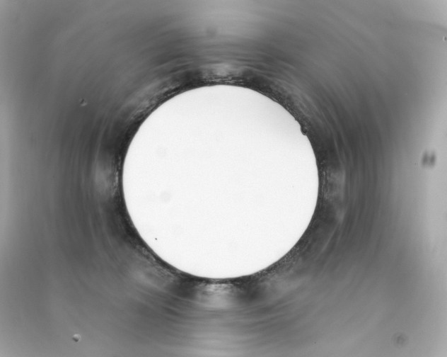 X0000090460324200708102117