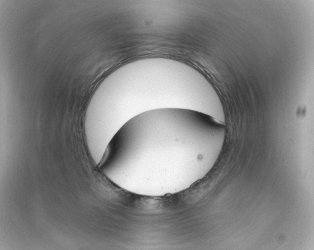 X0000090460325200708102117