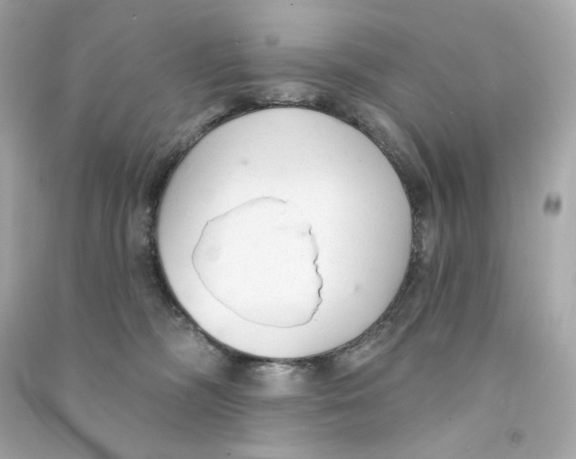 X0000090460326200708102117