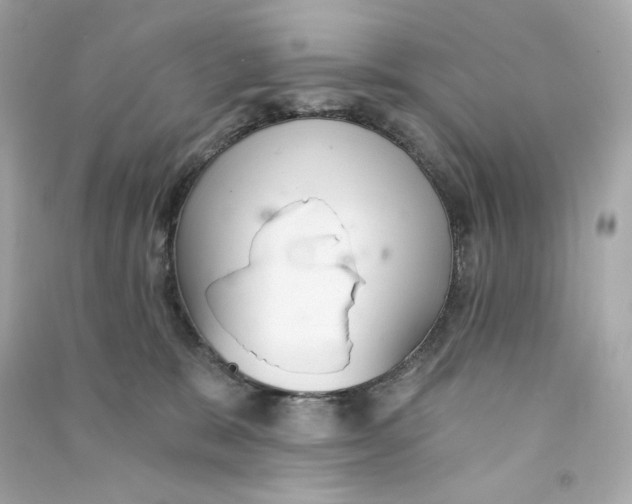 X0000090460327200708102117