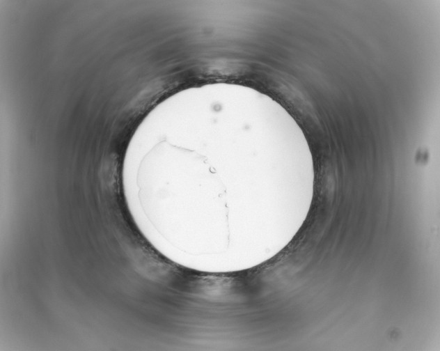 X0000090460328200708102117