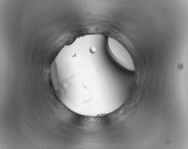X0000090460329200708102117