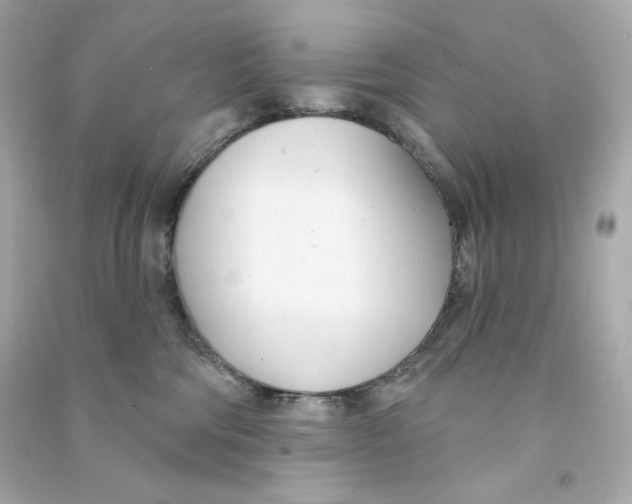 X0000090460330200708102117