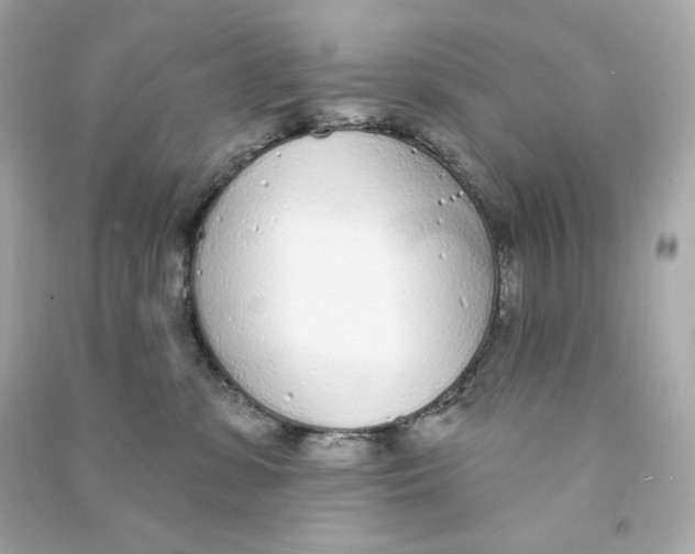 X0000090460331200708102116