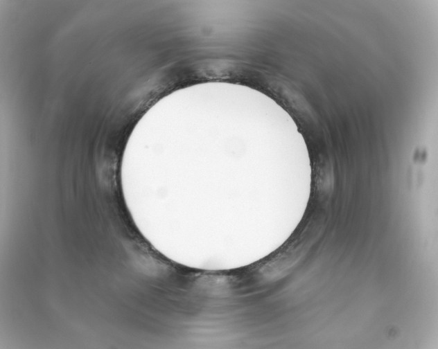X0000090460332200708102116