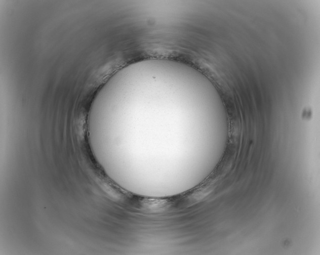 X0000090460334200708102116