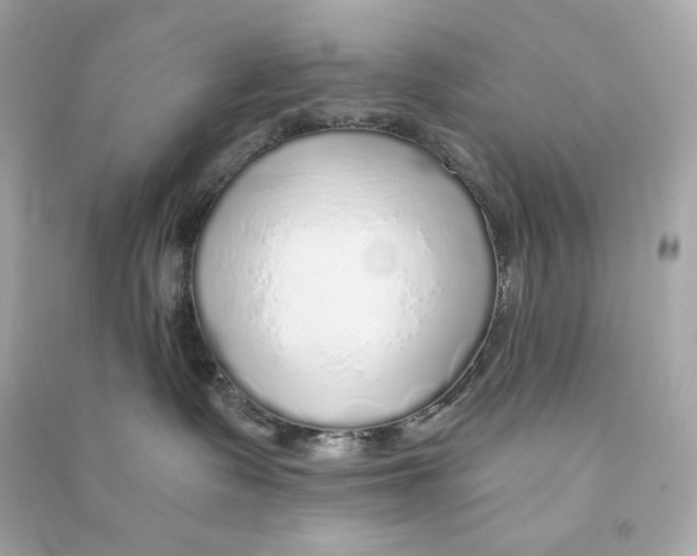 X0000090460335200708102116