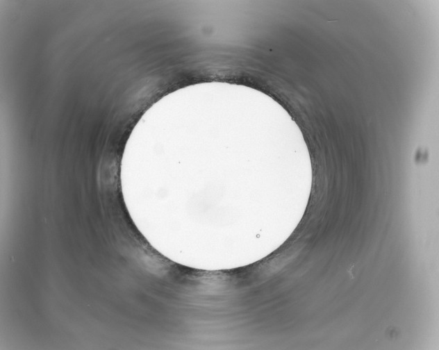 X0000090460336200708102116
