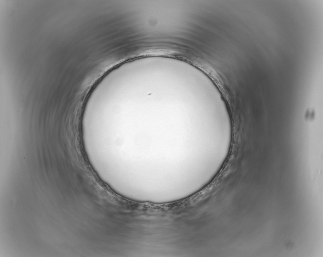 X0000090460337200708102116