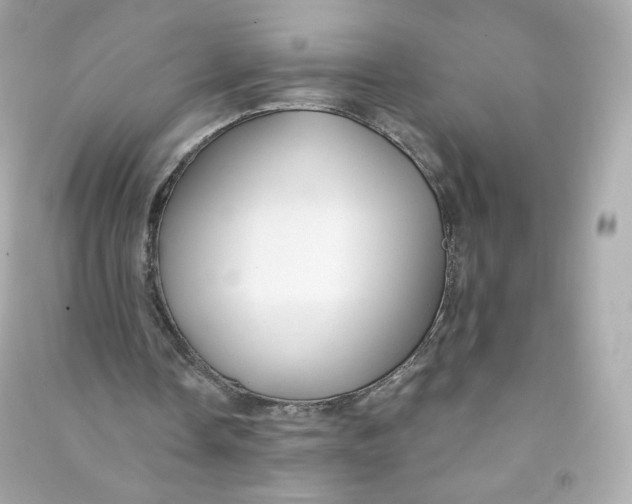 X0000090460338200708102116