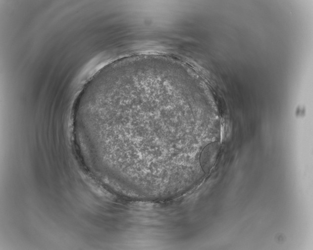 X0000090460339200708102116