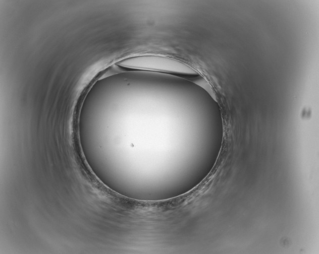 X0000090460340200708102116