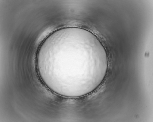 X0000090460341200708102116
