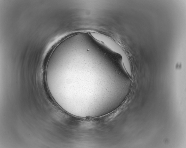 X0000090460342200708102116