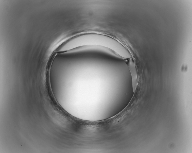 X0000090460344200708102116