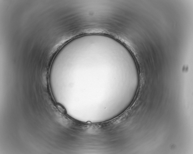 X0000090460345200708102116