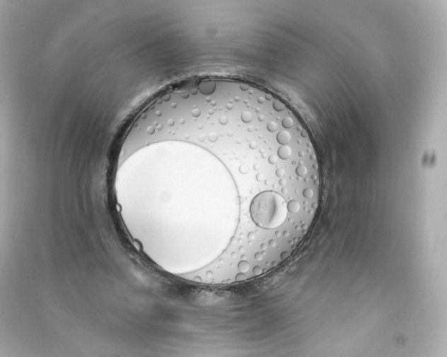 X0000090460346200708102116