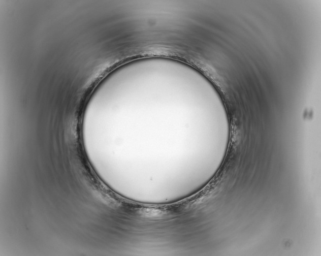 X0000090460347200708102116