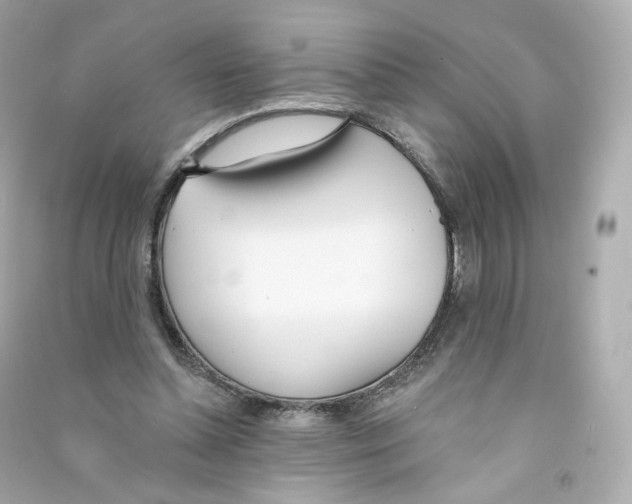 X0000090460348200708102116