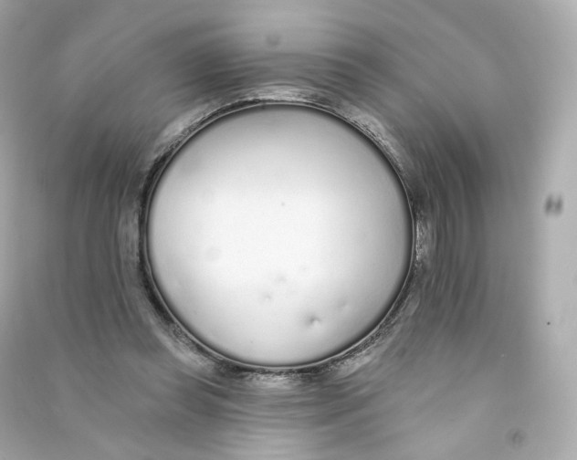 X0000090460349200708102116